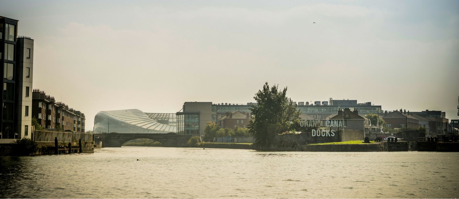 docks and aviva